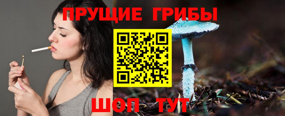 Светлоград  Псилоцибиновые грибы мухоморы  Псилоцибиновые грибы Cubensis  Вход с VPN 