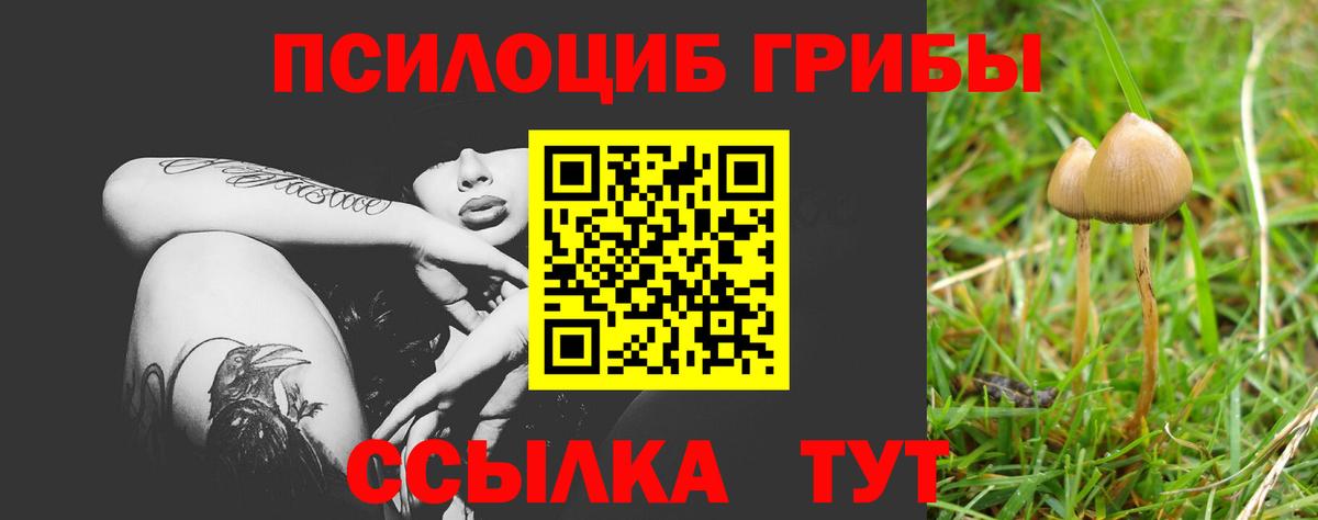 Галлюциногенные грибы прущие грибы Светлоград